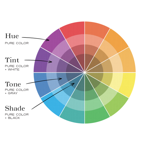 Hue tint tone and shade